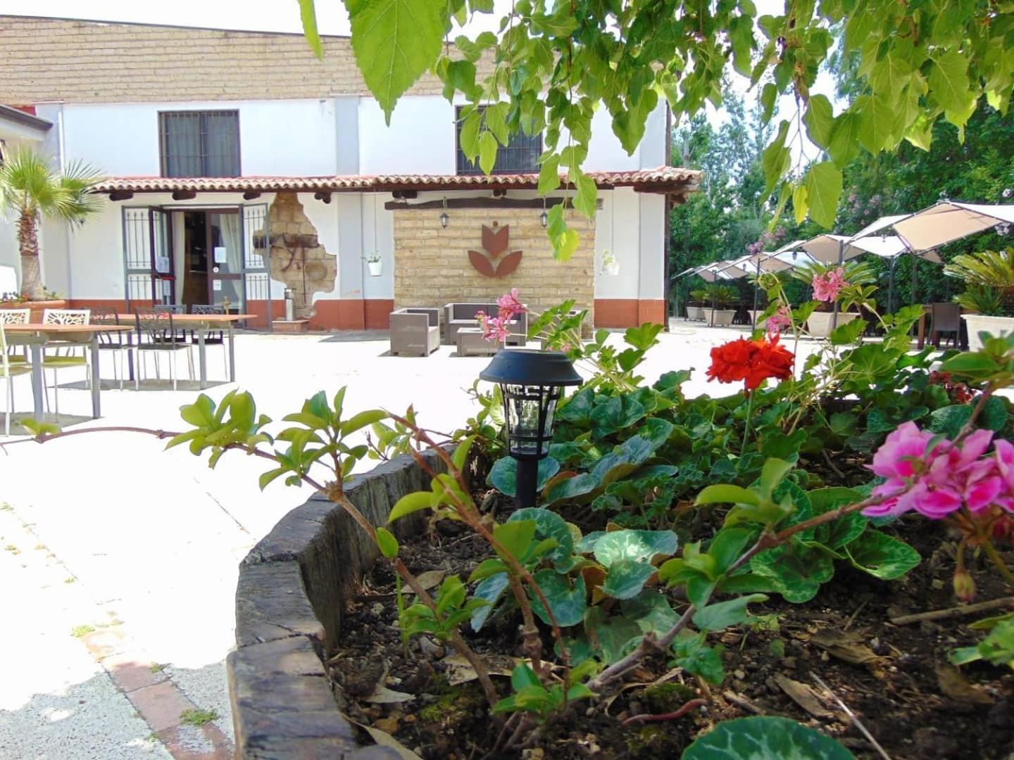 Casale Rurale Bed and Breakfast San Marco Evangelista Exteriör bild